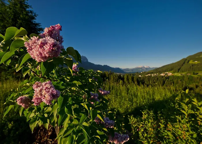 酒店 凯瑟霍夫高级酒店 5*